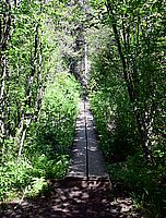 Bohlenweg