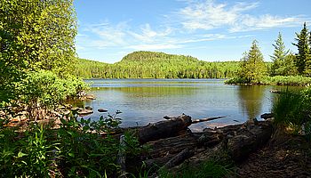 Whale Lake