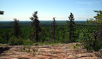 Ausblick über die endlosen Wälder Minnesotas. Minnesotas Wälder