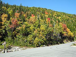 Indian Summer