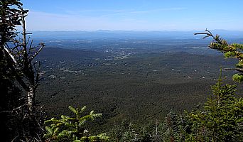 Westblick